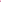 Pure Western - Kids - Rachel Crew ~ Pink