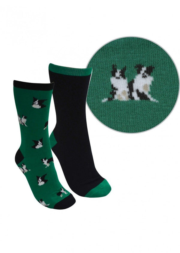 Thomas Cook - Kids - Farmyard Socks - Kids ~ Border Collie