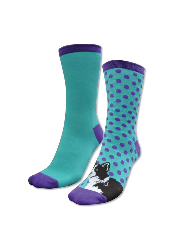 Thomas Cook - Homestead Sock - A - Collie -Purple/Turq